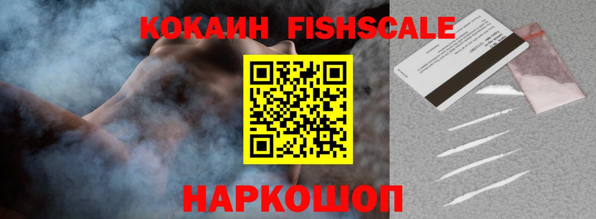 Касимов  Кокаин Fish Scale  Вход с VPN 