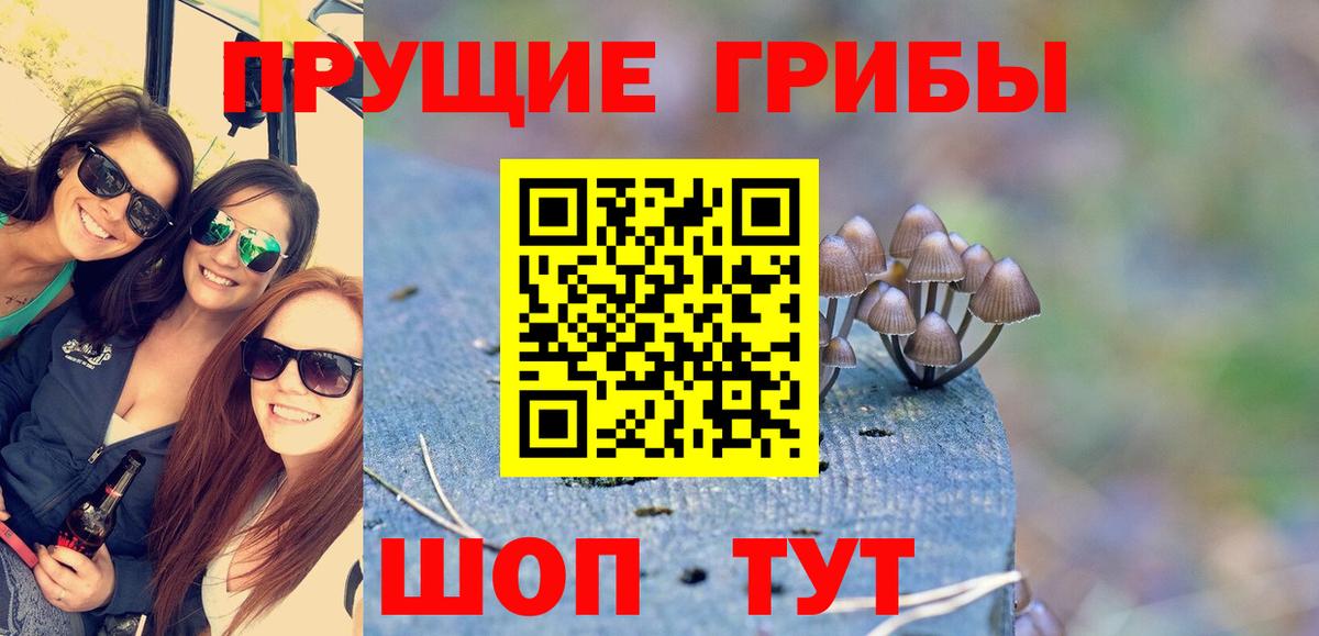 Галлюциногенные грибы прущие грибы  Вход с VPN  Касимов 